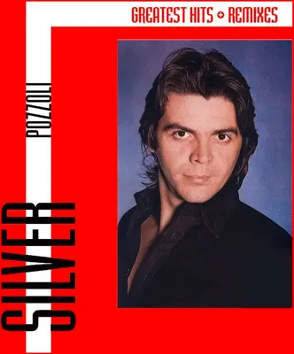 Obrázek produktu pro Silver Pozzoli: Greatest Hits & Remixes - zyx - (CD / Titel: Q-Z)