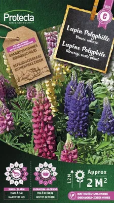 Productafbeelding van Protecta Bloemen zaden: Lupine Doorlevend | Lupinus