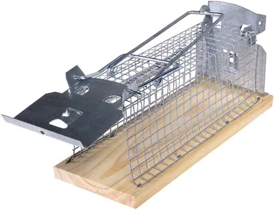 Produktbild von SWISSINNO 1584001 1 584 001 Mouse Classic Lebendfalle 1St