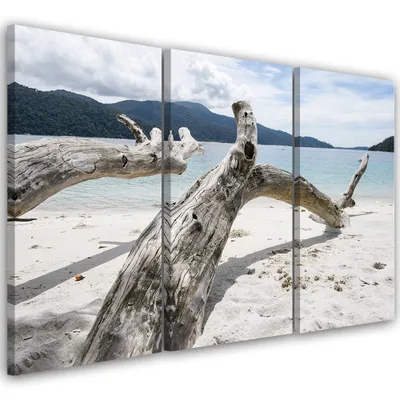 Produktbild von Triptychon auf leinwand landschaften - beige 90x60 cm Feeby beige wandbild bereit zum aufhängen