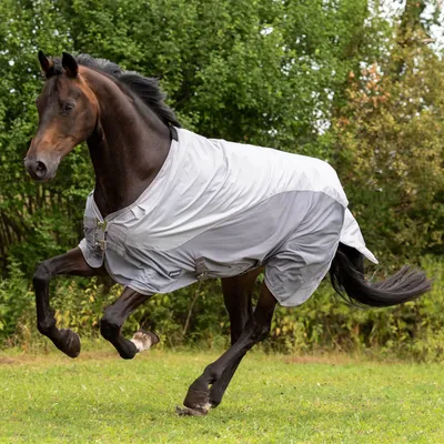 Produktbild von BUSSE Fliegendecke Rainfly Regendecke Grau 155