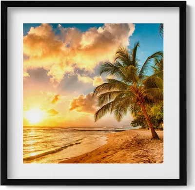 Produktbild von Palmenstrand und Meer bei Sonnenuntergang– Wandbild mit Rahmen – Gerahmtes Bild  – Wanddekoration – 50x50 cm –  Schwarz Rahmen