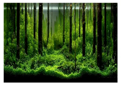 Produktbild von Aquarium Hintergrundaufkleber, PVC Klebstoff Poster mit Unterwasser-Muster, Dekoration für Aquarien