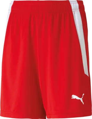 Immagine prodotto di Pantaloni Puma Teamliga 70493101