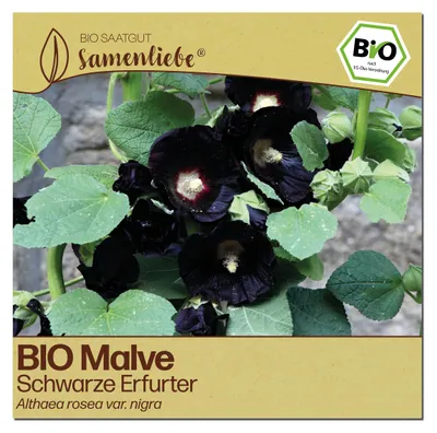 Produktbild von Samenliebe  Malve Samen | Schwarze Erfurter - schwarz - samenfestes  Saatgut