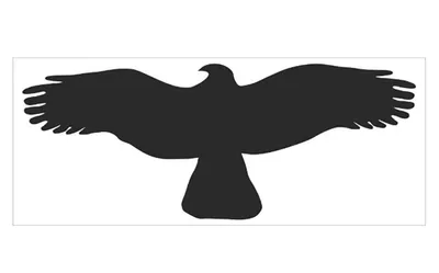 Produktbild von Aufkleber - DRAVEC SYMBOL 320x130mm