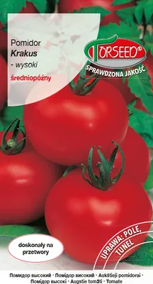 Produktbild von Samen von Krakus große Tomate 0.5g - Torseed