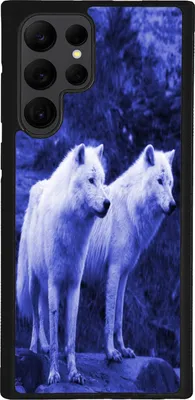 Produktbild von TPU Silikon Hülle für Samsung Galaxy S24 ULTRA Handy Cover Case Schutzhülle Handyhülle Bumper MOTIV 100 Wolf Blau