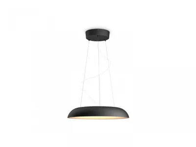 Produktbild von Philips Hue White Amb. Amaze Pendelleuchte schwarz 3000lm DS