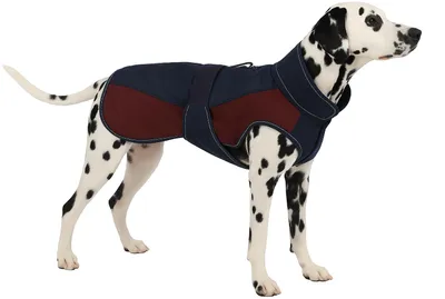 Hundewinterjacke dunkelblau/bordeaux, 60 cm, Größe L