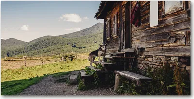 Produktbild von Tulup® Leinwandbild -100x50 cm - Wandkunst - Drucke auf Leinwand - Leinwanddruck  - Landschaften - Braun - Holzhaus Berge