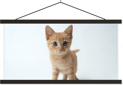 Produktbild von MuchoWow® Textilposter Katze - Rot - Kätzchen - Mädchen - Kinder - Kinder - Kind 90x45 cm mit schwarzem Rahmen - Klemmleisten