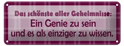 Produktbild von Blechschild Spruch 27x10cm Genie sein und es als einziger wissen