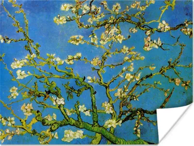Produktbild von MuchoWow® Poster Mandelblüte - Vincent van Gogh 160x120 cm - Foto Plakat