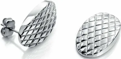 Produktbild von Viceroy Damen-Ohrringe 6390E11000