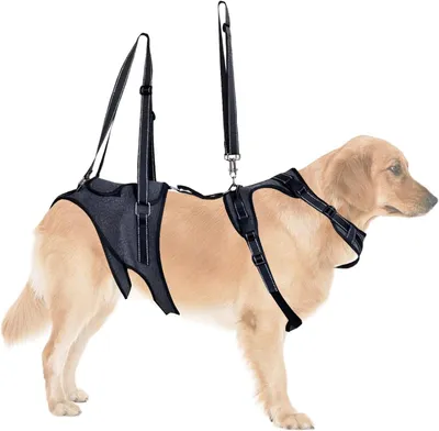 Produktbild von Verstellbares Hundehebegeschirr mit Haltegriff für die Mobilitätshilfe