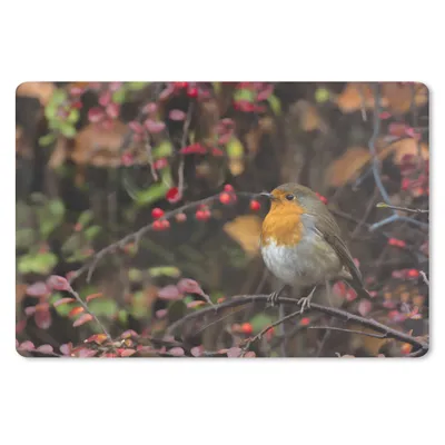 Produktbild von MuchoWow® Mauspad Mousepad Äste - Rotkehlchen - Natur 27x18 cm - Mousepads - Maus Mat - Pad - Mausunterlage - Büroartikel - Desk Matten