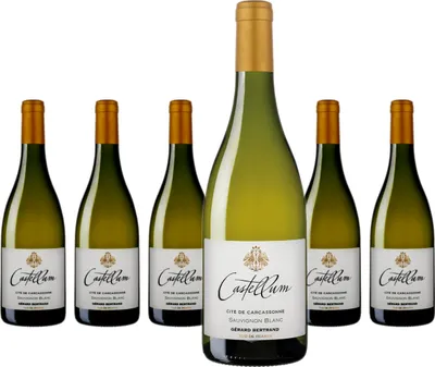 Produktbild von 6 x Gérard Bertrand Castellum Sauvignon Blanc