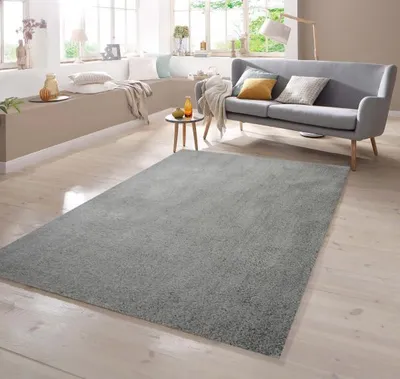 Produktbild von Shaggy Teppich in Uni Design Grau Größe - 120 x 170 cm