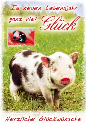 Produktbild von Geburtstag  Glückwunschkarte im Format 115x17cm mit Umschlag