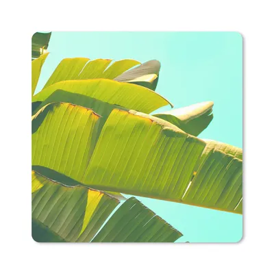 Produktbild von MuchoWow® Mauspad Mousepad Bananenblatt - Blätter - Tropisch - Sommer 20x20 cm - Mousepads - Maus Mat - Pad - Mausunterlage - Desk Mat - Bureauartikeln