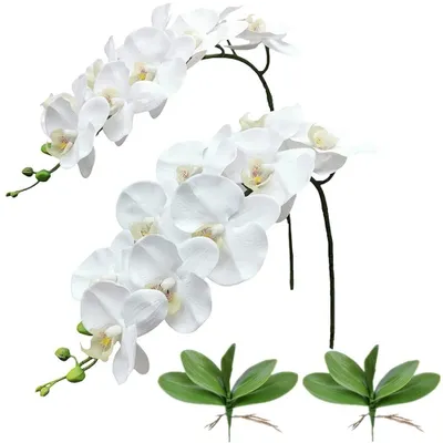 Immagine prodotto di Orchidee Stengels, 106 cm - Fiori artificiali - Tecnologia Real Touch - Decorazione - Matrimonio - Casa - Facili da pulire - Fiori finti
