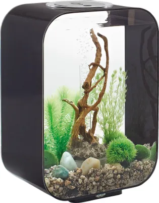 Image de Aquarium 15l led noir - Oase - LIFE 15 LED BLACK - biorb life
