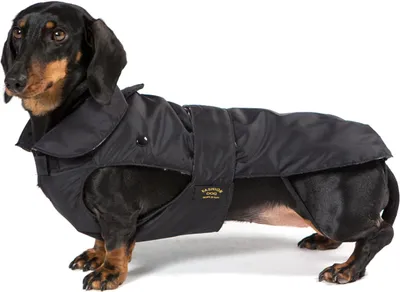 Produktbild von Fashion Dog Hundemantel speziell für Dackel - Schwarz - 36 cm