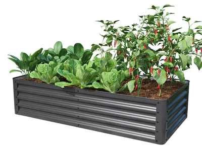 Immagine prodotto di PRIMEYARD Orto rialzato LUCA, acciaio, antracite 150x75x35 cm