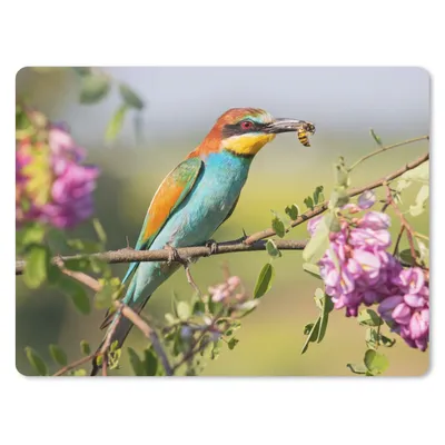 Produktbild von MuchoWow® Mauspad Mousepad Vogel - Bienenfresser - Blumen 40x30 cm - Mousepads - Maus Mat - Pad - Mausunterlage - Anti Rutsch