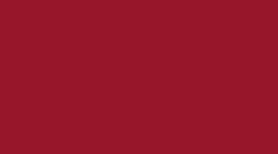 Produktbild von d-c-fix Selbstklebefolie Lack Uni signalrot 90 cm x 2,1 m