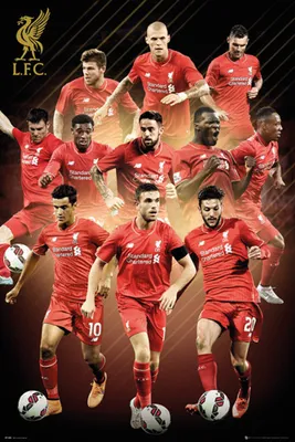 Produktbild von Liverpool FC - Poster - Players 15/16