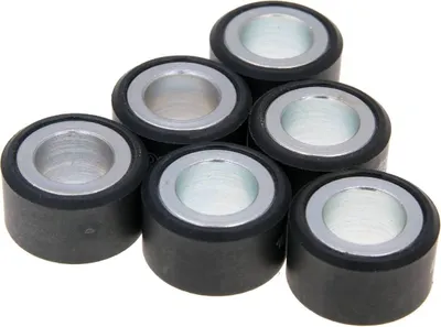 Obrázek produktu pro Variomatické závaží Polini 20x12mm - 14,1g