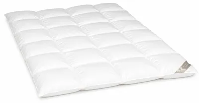 Produktbild von Betten Hofmann Sibiria exclusiv Daunendecke Daunenbett 4x6 135x200 sibirische Wildgans