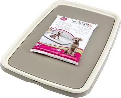 Immagine prodotto di Set da addestramento per cani XL con guinzaglio e giocattoli