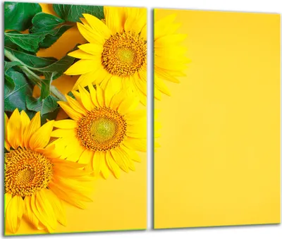 Produktbild von Herdabdeckplatten 2 teilig 30x52 Glaskeramikkochfeld Abdeckung Glas Obst