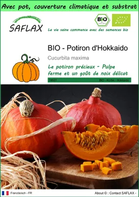 Image de SAFLAX Garden to go -- Potiron d'Hokkaido - 5 graines - Cucurbita