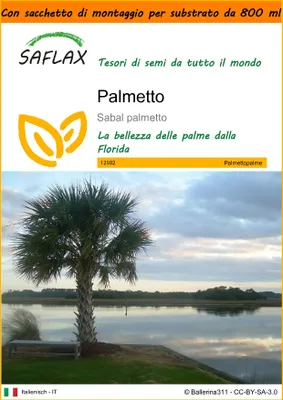 Immagine prodotto di SAFLAX Garden in the bag - Palmetto  - 8 semi - Sabal