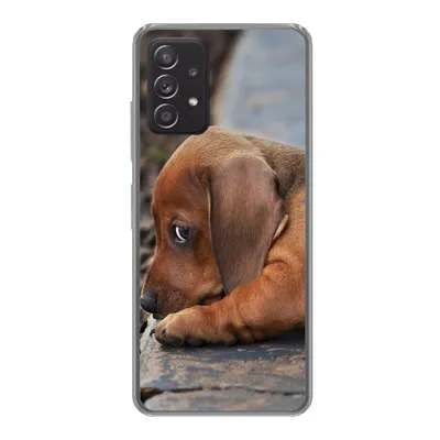 Produktbild von MuchoWow® Handyhülle Schutzhülle Hülle für Samsung Galaxy A53 5G Dackelwelpe liegt am Rande des Bürgersteigs Silikon Softcase Handy Hülle - Schutzabdeckung