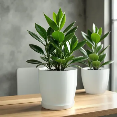 Produktbild von Runde Blumentopf mit Unterteller für Innenräume - Eleganter Pflanzenpot Ø 20 cm
