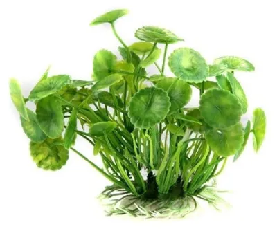 Produktbild von Kunstpflanzen für Aquarien – 4 Stück, grün