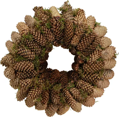 Produktbild von Fichtenzapfen Kranz 45cm mit Moos - Handgemachte Türkranz Naturdeko für Landhausstil