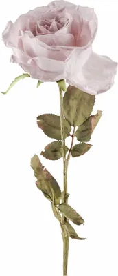 Produktbild von Fink ROSE, Kunstblume, Kunstfasern, mauve, H. 66 cm Höhe: 66.00 cm  180289