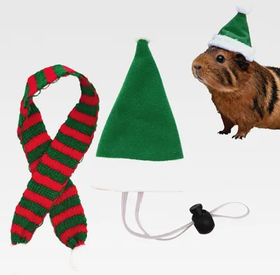 Produktbild von Hüte für Hühner, Kostüm, Weihnachtskostüm, Cosplay, kleine Weihnachtsmütze, verstellbar, für das | für Ente, Henne, Hamster, Katze, Welpe, Bauernhof