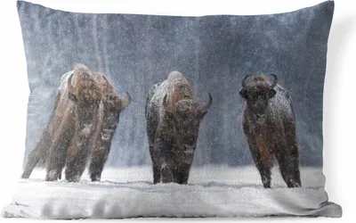 Produktbild von MuchoWow® Outdoor Kissen - Tiere - Schnee - Amerika - 60x40 cm - Wetterfest - Lounge Kissen - Zierkissen - Kissen für Innenräume
