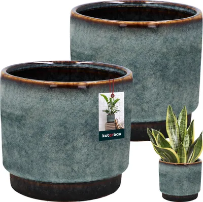 Two blue ceramic plant pots are shown, one in front of the other, with a small snake plant in a third, smaller pot to the right. A tag is attached to the front pot.