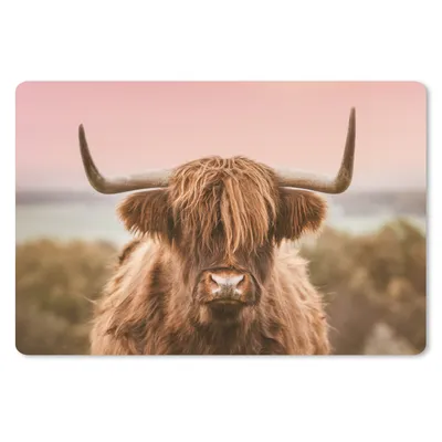 Produktbild von MuchoWow® Schreibtischunterlage Kuh - Schottischer Highlander - Tier 60x40 cm - XXL Mauspad - Großes Mauspad