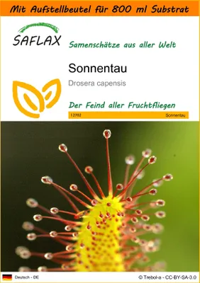 Produktbild von SAFLAX - Garden in the Bag - Sonnentau - 200 Samen - Mit Anzuchtsubstrat im praktischen, selbst aufstellenden Beutel - Drosera capensis
