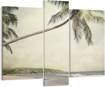 Produktbild von Bild auf Leinwand - Leinwandbild - 3 Teile - Palme Strand Insel - 95x80cm - Wand Bild - Wanddeko - Wandbilder - Leinwanddruck - Bilder - Wanddekoration - Leinwand bilder - Wandbild - CB95x80-4154