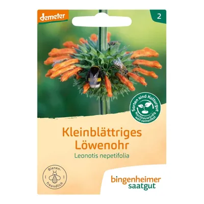 Zdjęcie produktu dla Lwia paszcza drobnolistna - Lenonotis nepetifolia